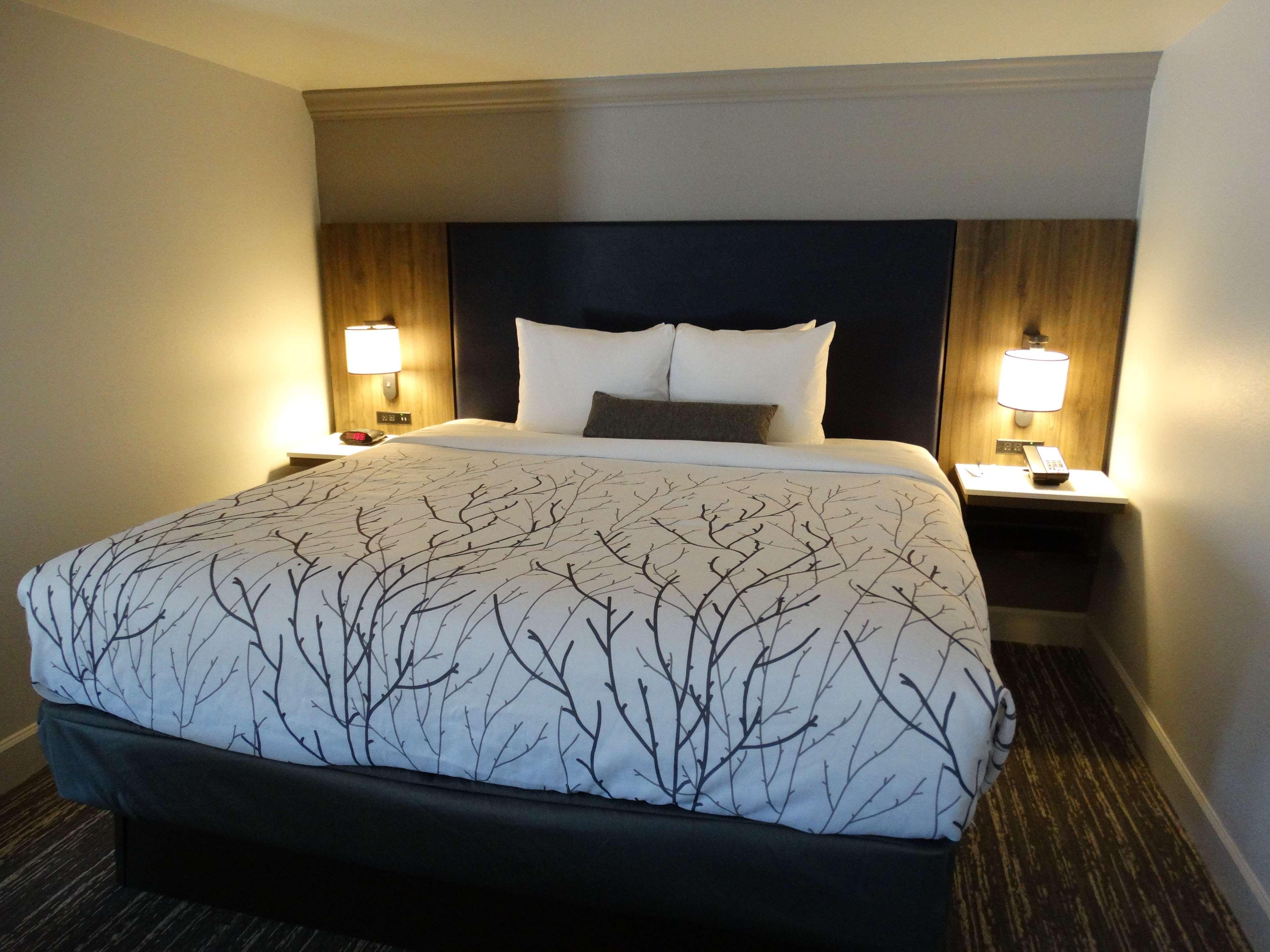 Best Western Premier Denver East Habitación foto